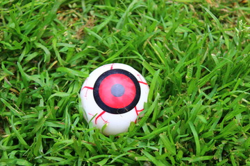 Eyeball toy in the grass