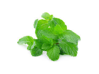 Mint  isolated on white background