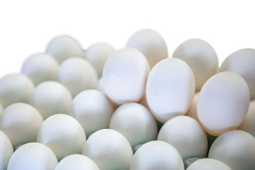 Several white eggs on white isolated background