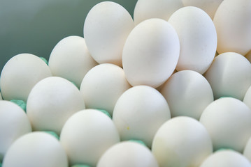 The stack of many white chicken eggs