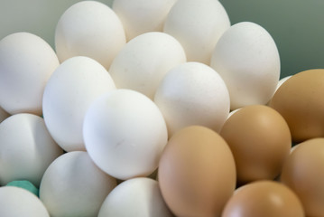 Stack of many white & brown chicken eggs