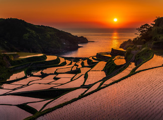 浜野浦棚田夕景