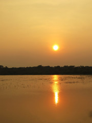 Obraz na płótnie Canvas Yellow sun set over lake. Yala national park.