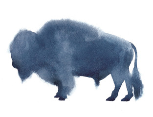 Watercolor realistic bison silhouette on white background © AnnaNenasheva