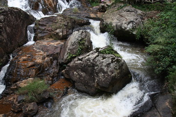 waterfall in the forest
