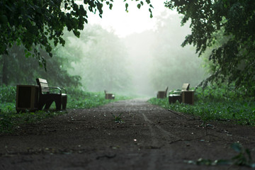 summer forest with mystic fog