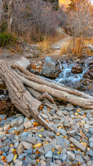 Vertical frame Bridge made of tree trunk over a rocky creek with shallow flowing water