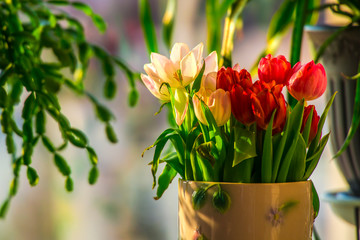 Amazing flowers in the house