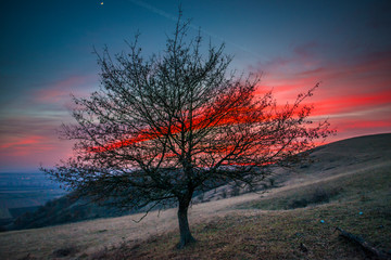 Fototapeta na wymiar Clouds colors of the spring