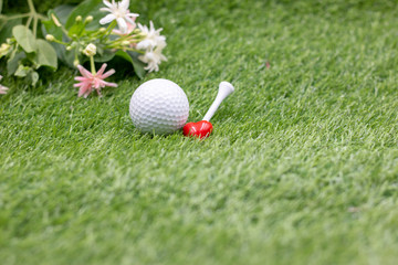 Golf ball with flowers are on green grass
