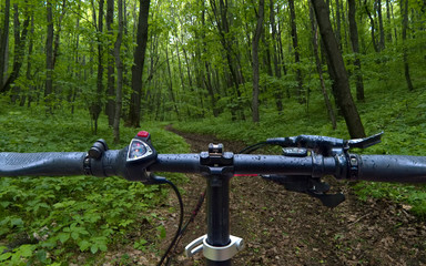 Bicicle electric . Journey into the landscape of wild nature. The steering wheel of an electric bike that moves uphill along the road amid a green maple forest.