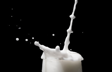 white milk splash on dark background