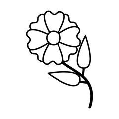 flower natural decoration