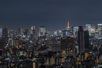 Fototapeta na wymiar Tokyo cityscape which can see tokyo tower in far away, taking from tokyo sky tree east, Japan