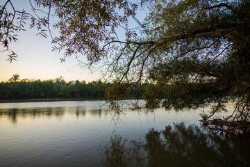 Morning on the river