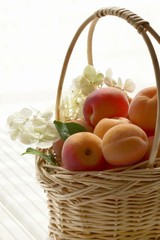 Apricots fruit. apricots and flowers of white hydrangea in a wicker basket on a wooden white table  on a white background.Summer  Healthy vegetarian sweet fruit.