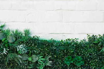 white wall and artificial flowers