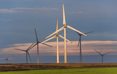Area with huge eolian turbines used for convert the wind power into mechanical energy and then into...