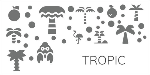 Naklejka premium tropic icon set