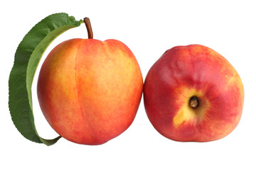 Nectarine isolated on white