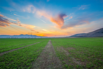 Obraz premium Sunset on the springtime