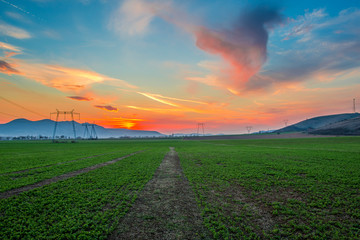 Sunset on the springtime