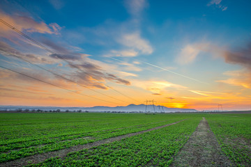 Sunset on the springtime