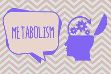 Word writing text Metabolism. Business concept for Chemical processes in body to produce energy food processing.