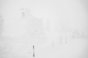 Obraz na płótnie Canvas Snow Monsters area Mountain Zao, Japan .