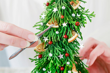 How to make beautiful Christmas decoration in fir shape using thuja twigs and moss