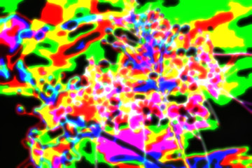 abstract  bokeh picture image background 