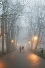 Couple walking in mist. October morning in Planty Park