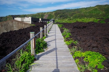 三宅島の遊歩道と災害遺構