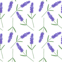 Seamless pattern with watercolor lavender. Illustration of Provence leaf sprigs Floral textures handmade leaves Digital paper Textiles Wallpapers