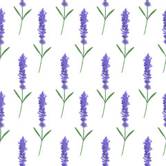 Seamless pattern with watercolor lavender. Illustration of Provence leaf sprigs Floral textures handmade leaves Digital paper Textiles Wallpapers