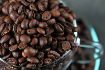 Fototapeta premium coffee beans in transparent glass Cup as a background