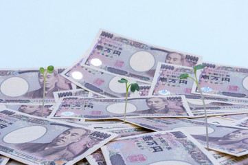 成長するお金-金融と投資の概念