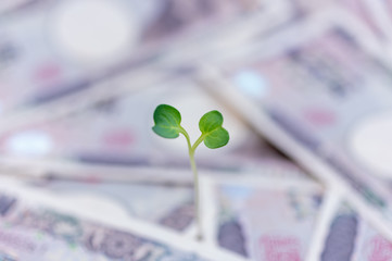 成長するお金-金融と投資の概念