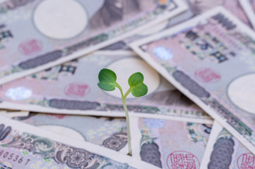 成長するお金-金融と投資の概念