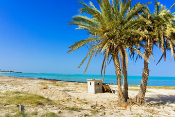 Landscape of the Mediterranean Sea with Palm Trees in Djerba, Tunisia