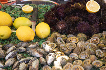 Seafood stall on the wharf in Essaouira, Morocco