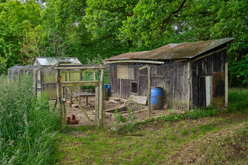 vieux poulailler en bois © Dominique VERNIER