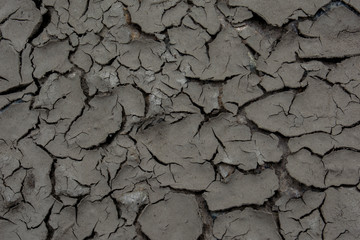 Soil cracked background. Land in dry season.