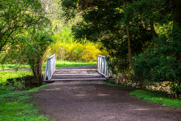 Landscape in the park