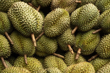 Fototapeta premium The durian fruit, with Thailand's reputation with intense aromas.