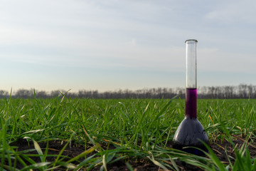 Image of a glass flask with a chemical solution on the background of young shoots of agricultural plants.