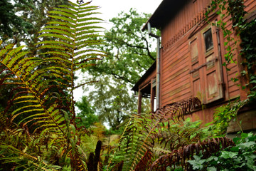 W ogrodzie © Marzena