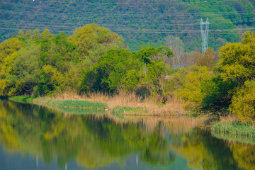 Landscape on the river