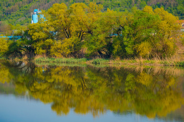 Springtime near the river