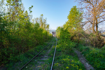 Fototapeta premium Springtime near the river